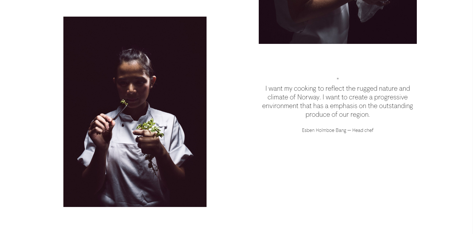 Maaemo Simple Site
