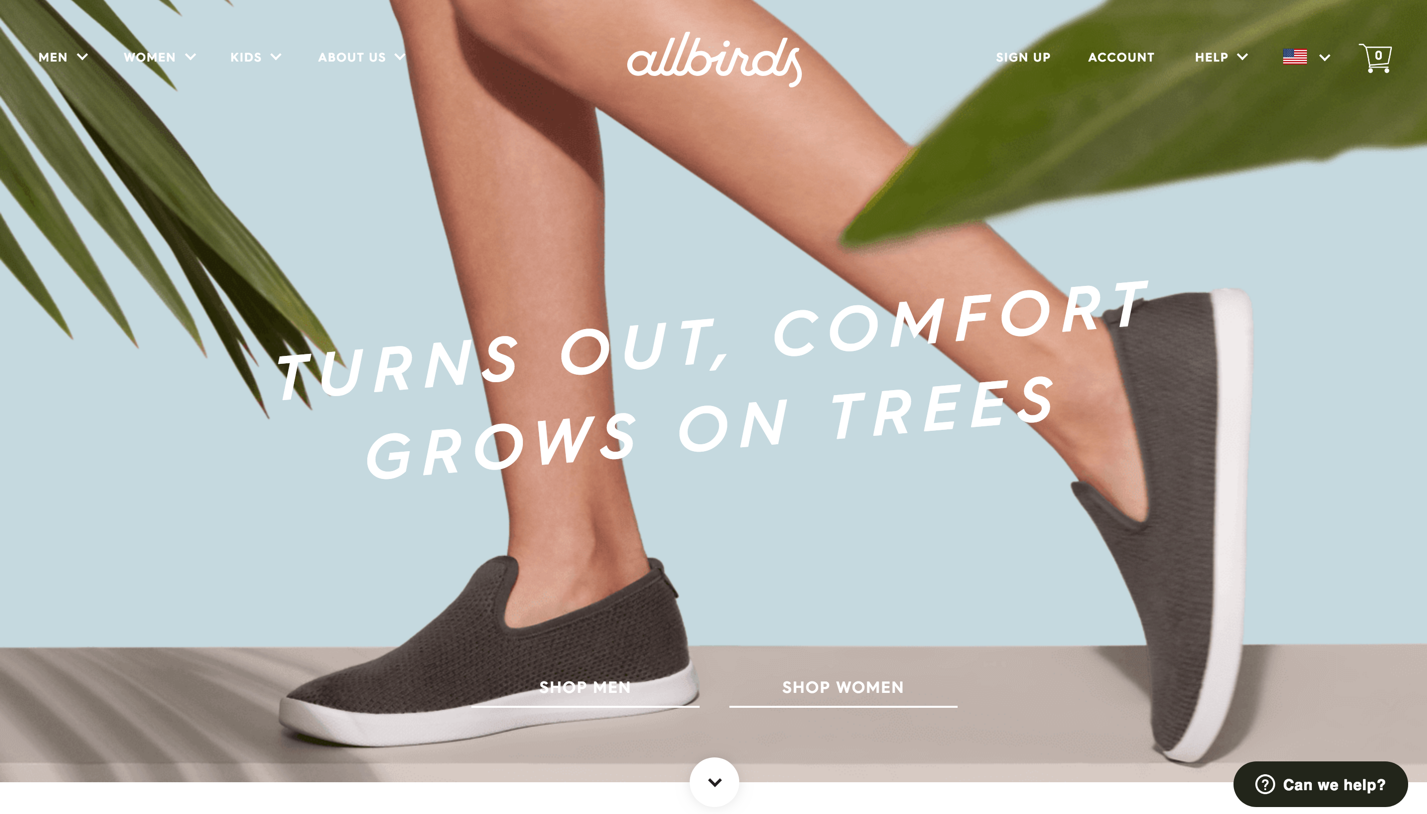 Allbirds Startup Website Design Allbirds Startup Website Design