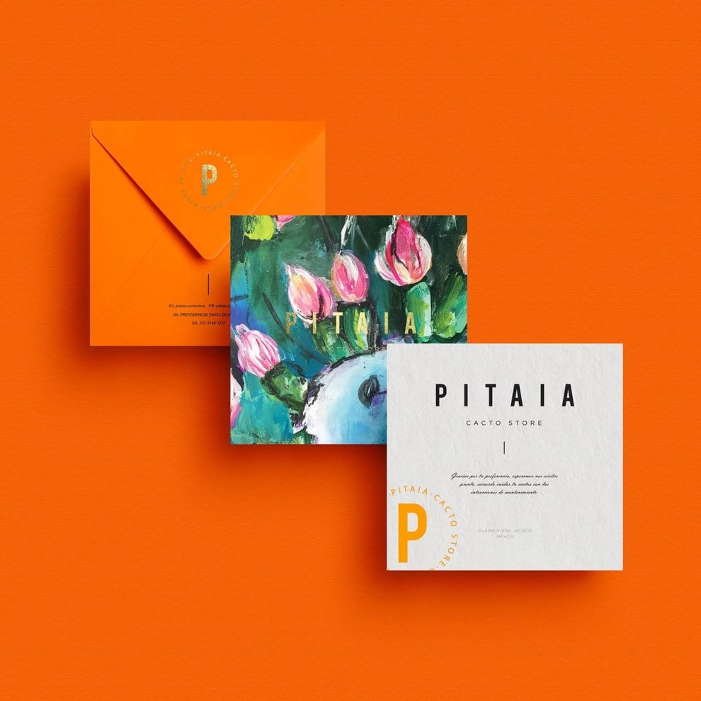 Pitaia Best Stationery Designs best business stationery