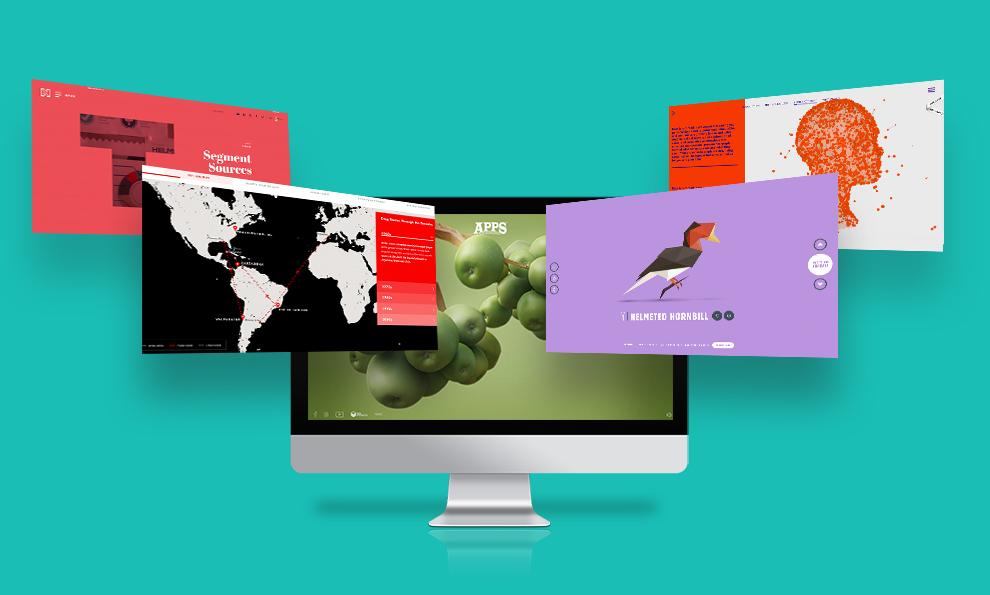 Interactive Website Design