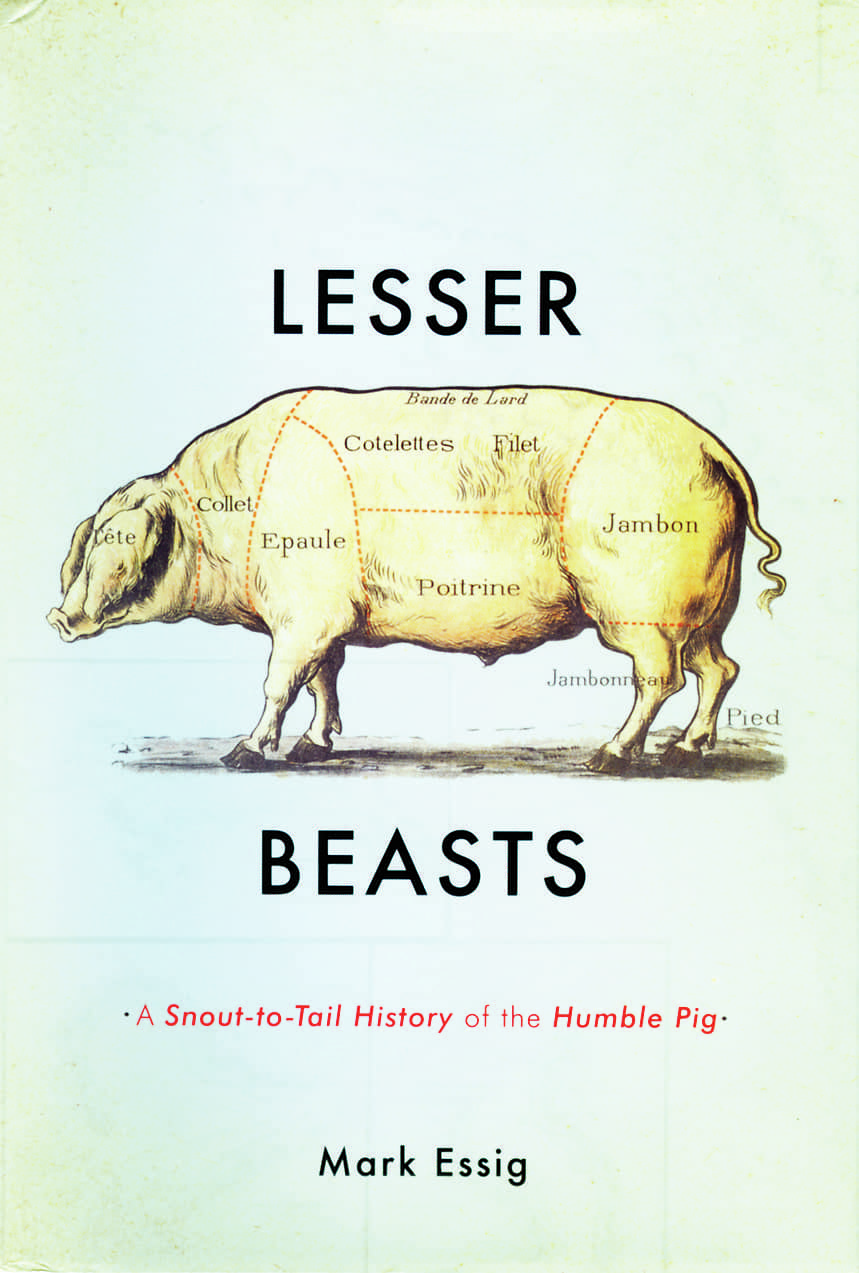 Lesser Beasts Book Cover