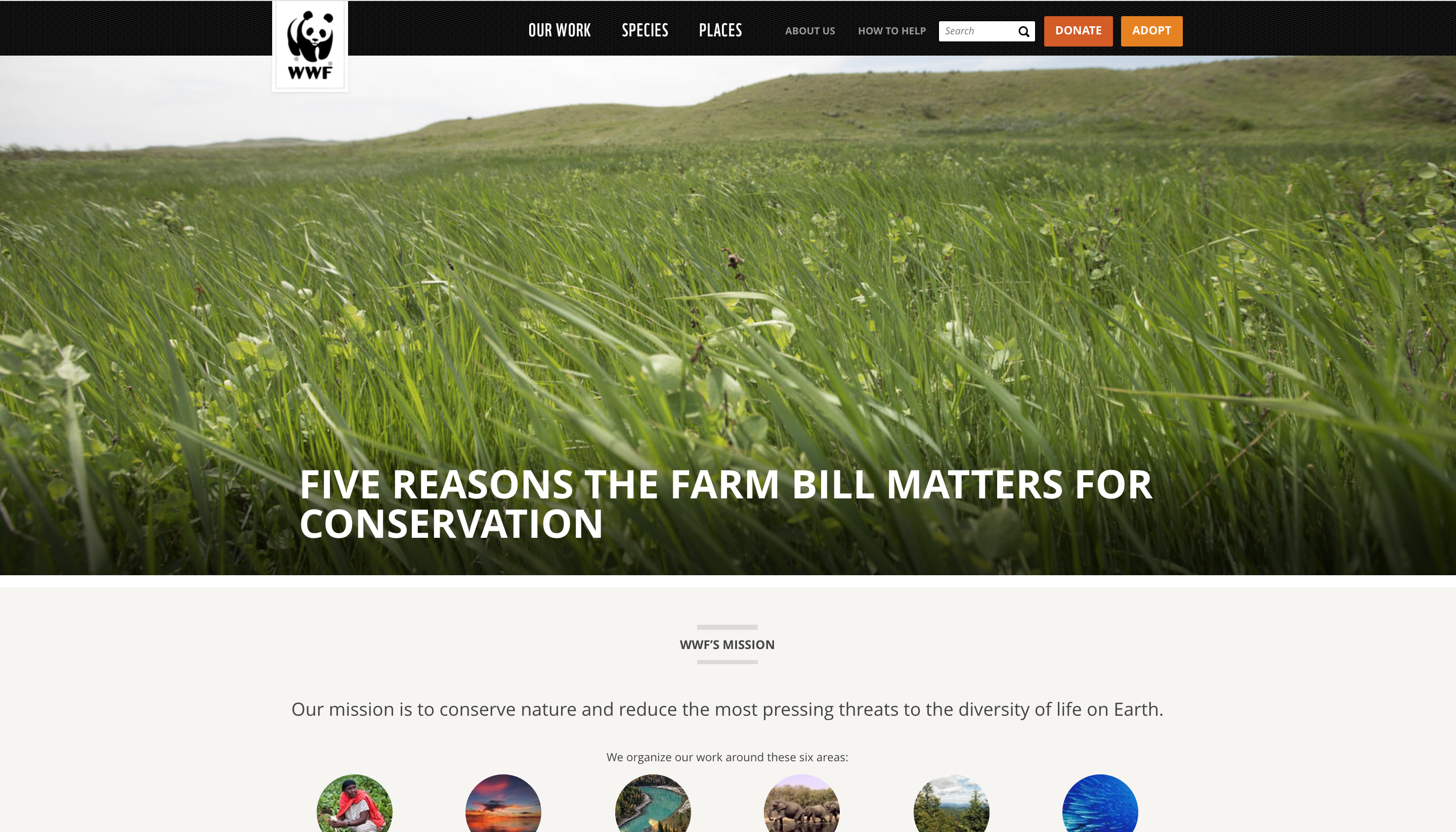 WWF Non Profit Website Design