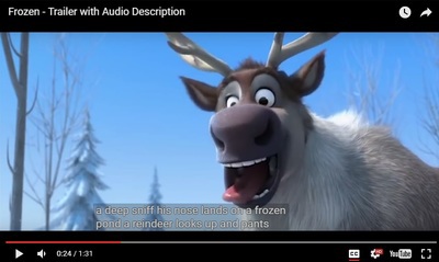Frozen Video Subtitles Web Accessibility Standards