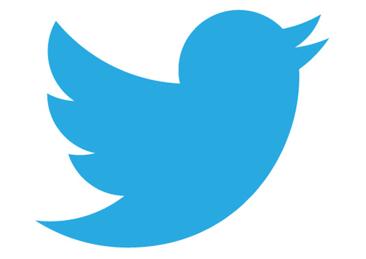 new twitter responsive logo